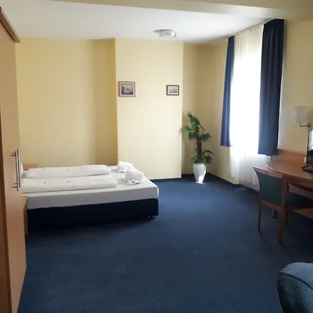 Hotel Wilder Mann 3*