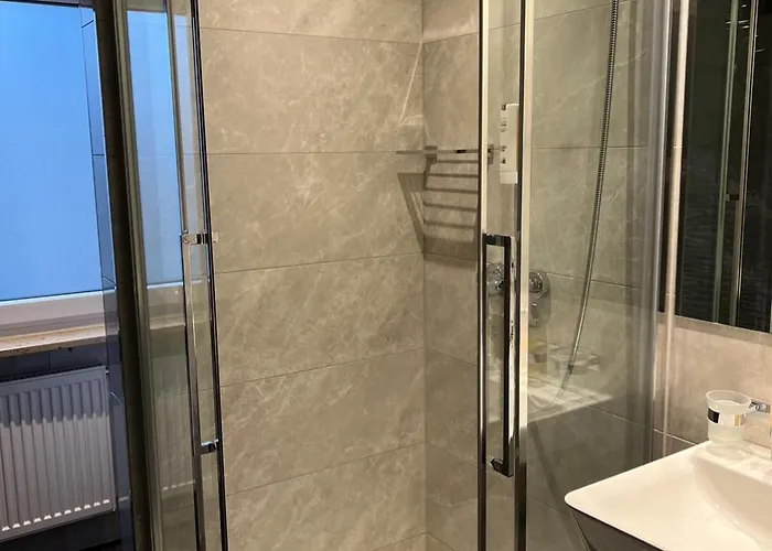 Wilder Mann Hotel 3*