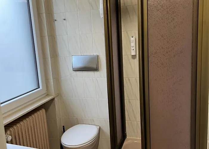 Hotel Wilder Mann 3*