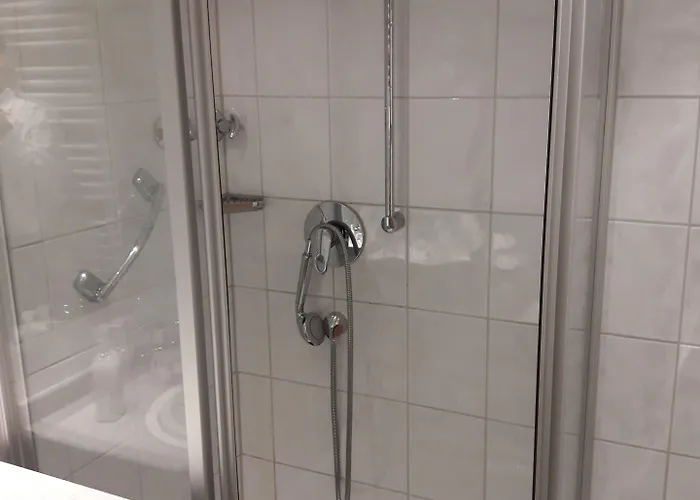 Hotel Wilder Mann 3*