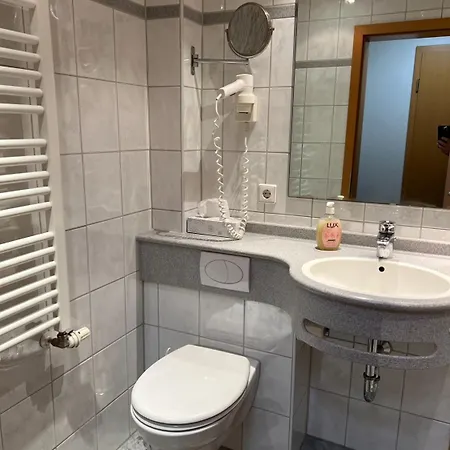Wilder Mann Hotel 3*