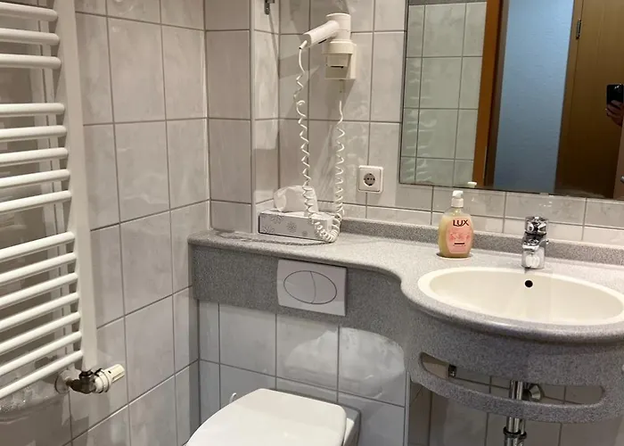 Wilder Mann Hotel 3*